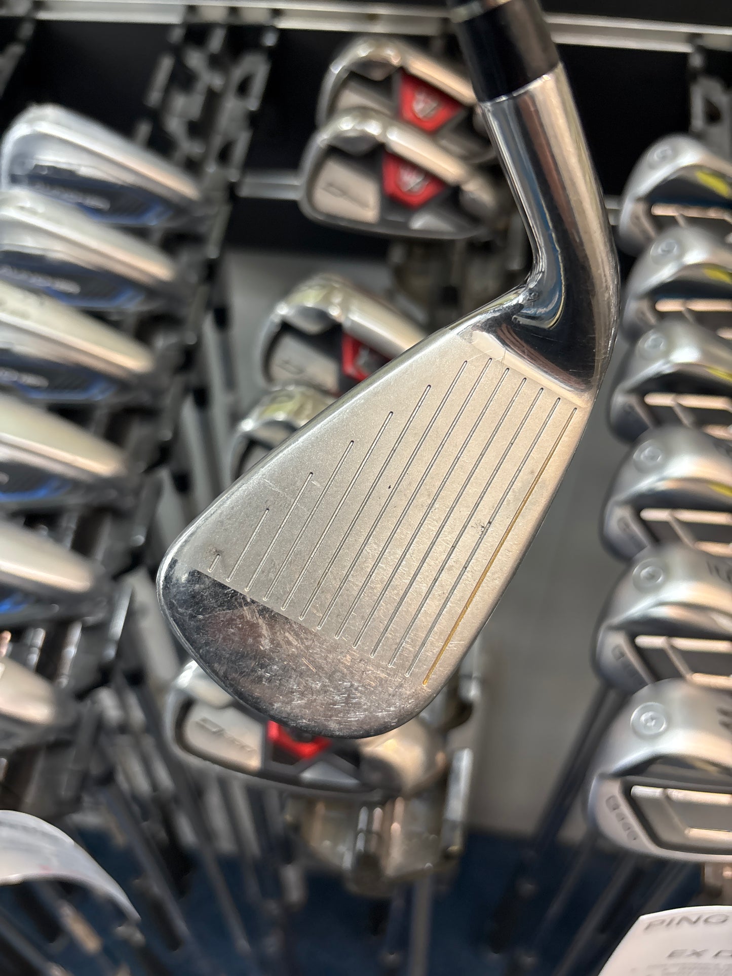 WILSON STAFF D250 (5-SW REGULAR FLEX)